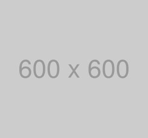 Ice Beck’s Beer 350ml x 24 Pieces